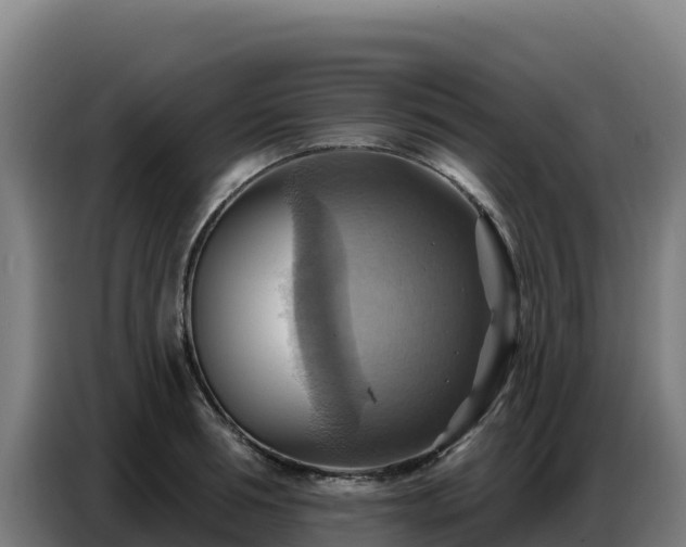 X0000086750994200704201722