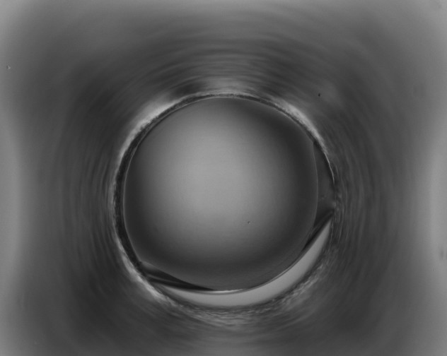 X0000086750995200704201722
