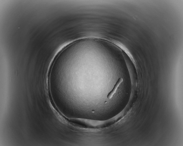 X0000086750996200704201722