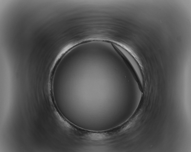 X0000086750998200704201722