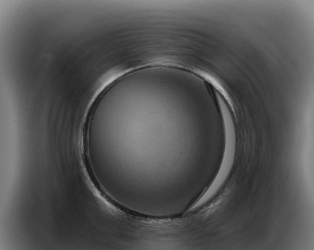 X0000086750999200704201722