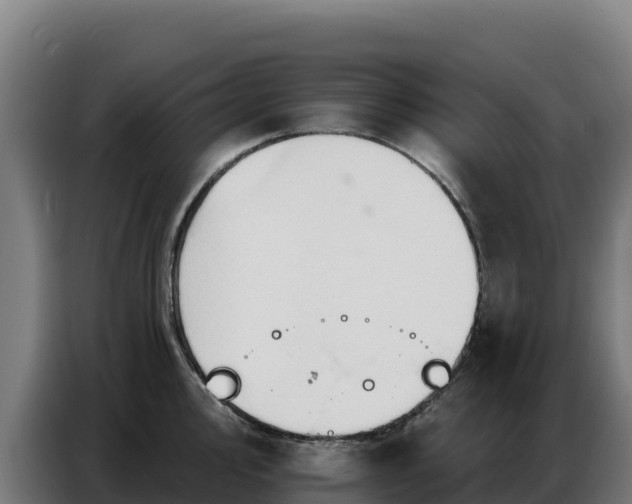 X0000086751000200704201721