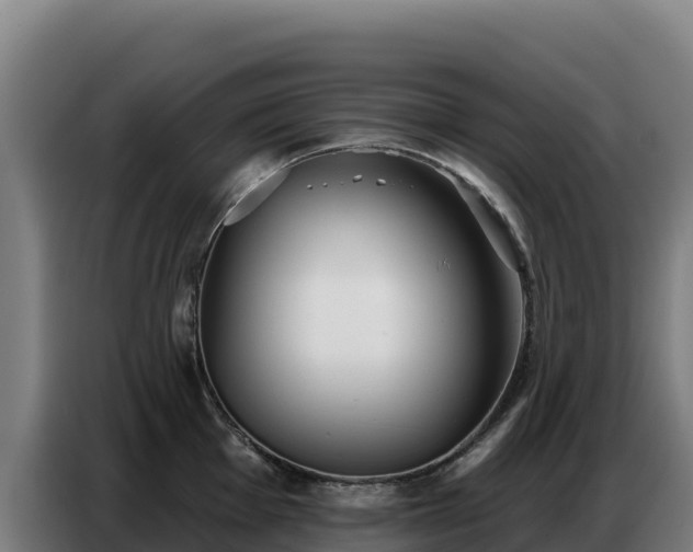 X0000086751001200704201721