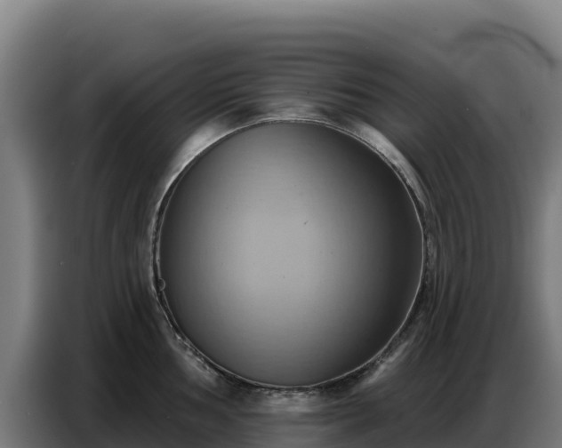 X0000086751002200704201721