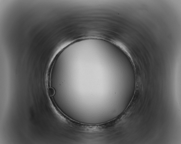 X0000086751003200704201721