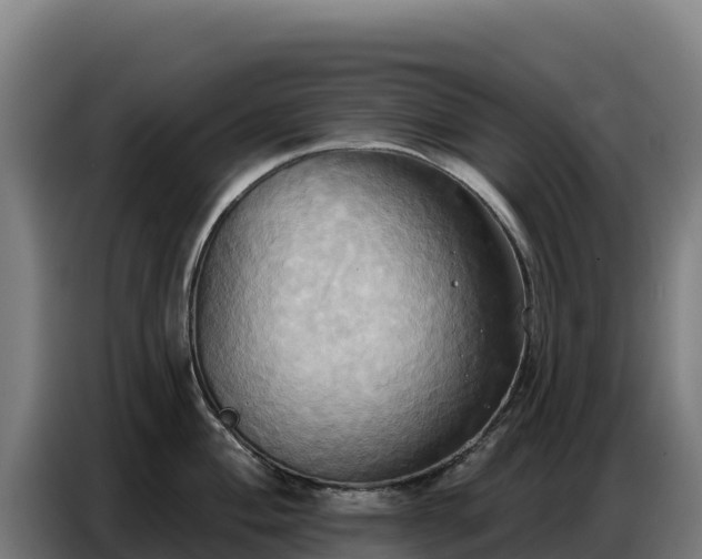 X0000086751004200704201721
