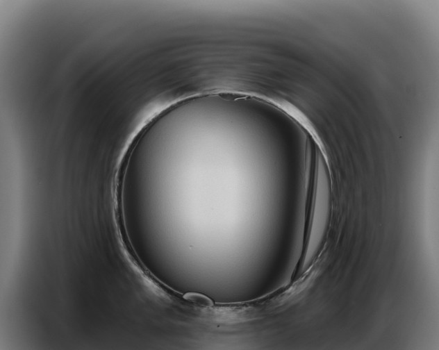 X0000086751005200704201721