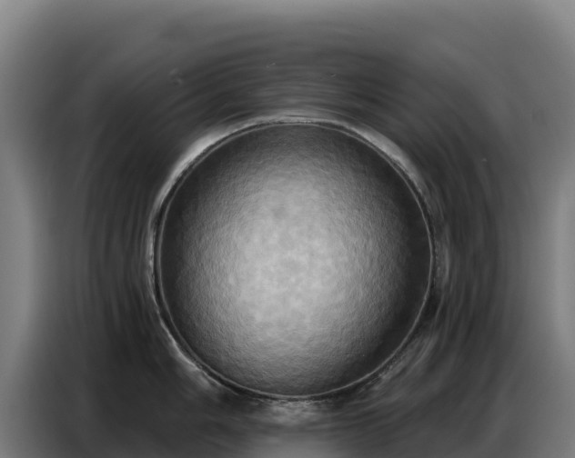 X0000086751006200704201721
