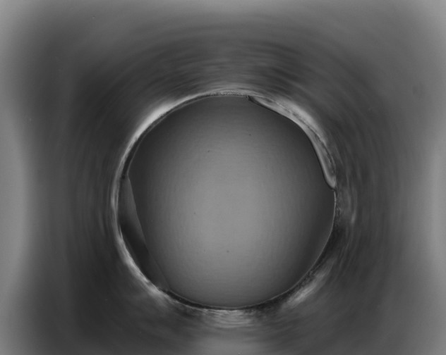 X0000086751007200704201721