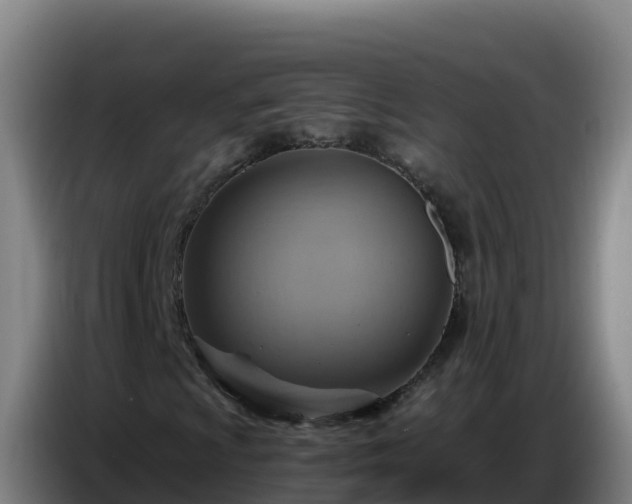 X0000086751009200704201721