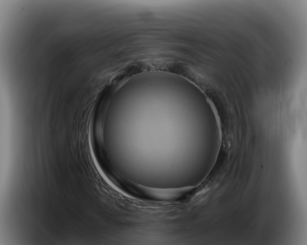 X0000086751010200704201721