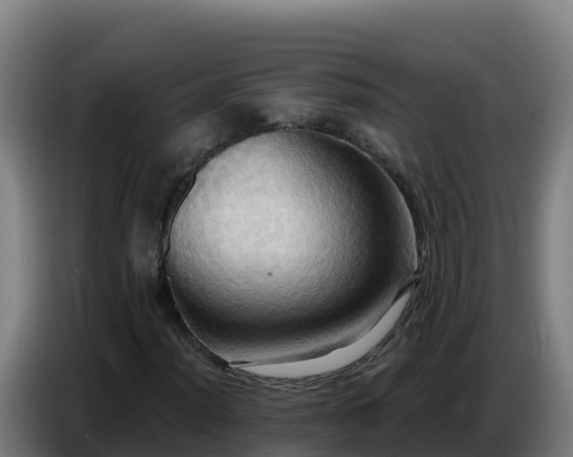 X0000086751012200704201721