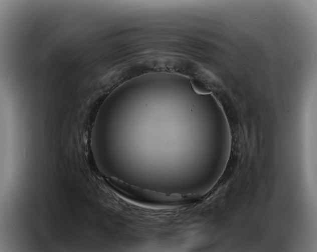 X0000086751013200704201721