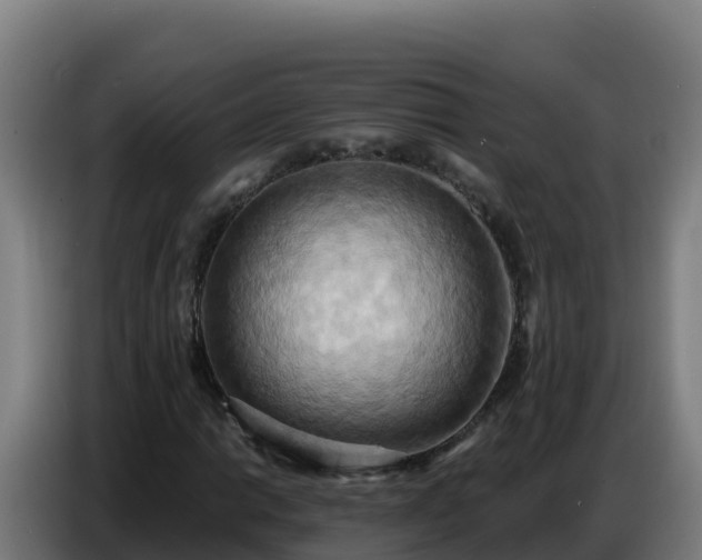 X0000086751014200704201721