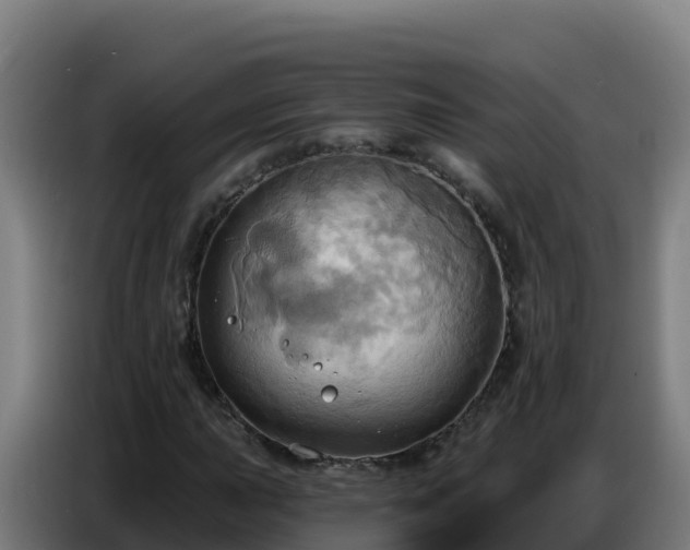 X0000086751015200704201721