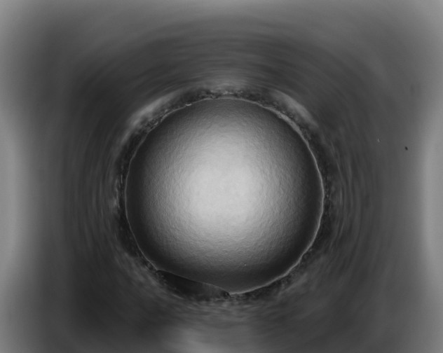 X0000086751016200704201721