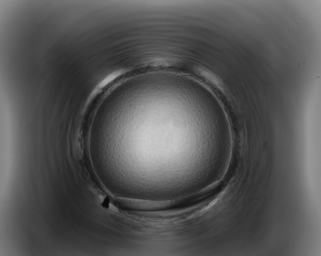 X0000086751018200704201721