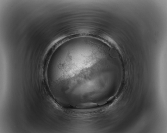 X0000086751019200704201721