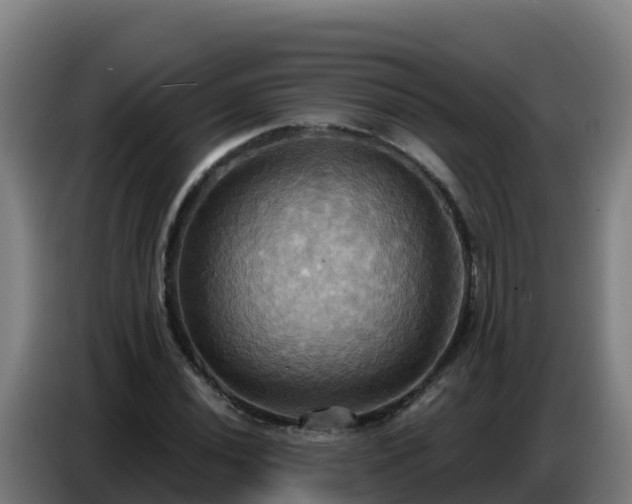 X0000086751020200704201721