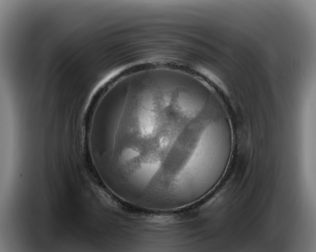X0000086751021200704201721