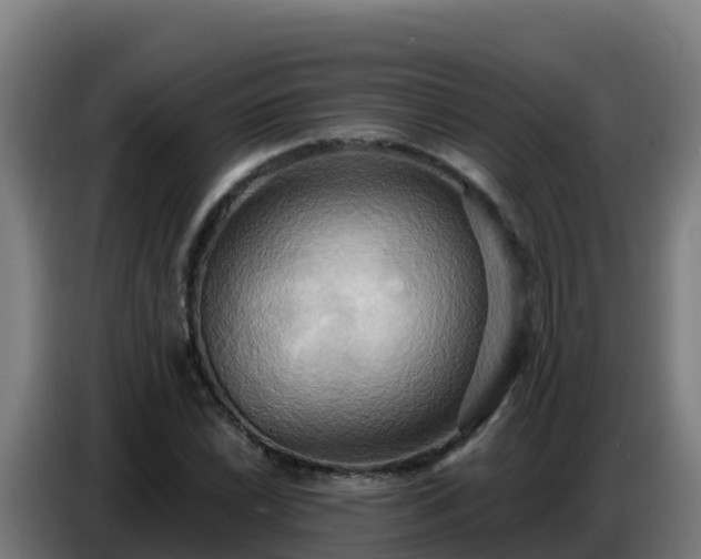 X0000086751022200704201721