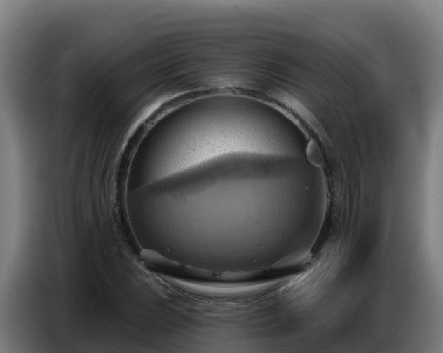 X0000086751023200704201721