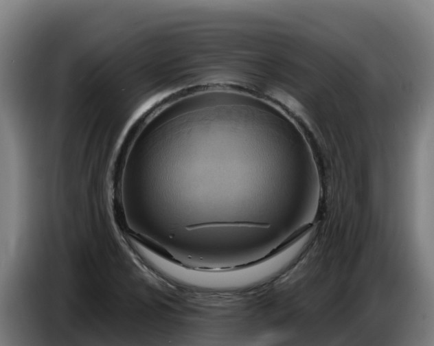 X0000086751024200704201721