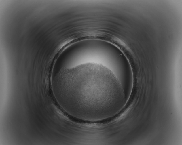 X0000086751025200704201721