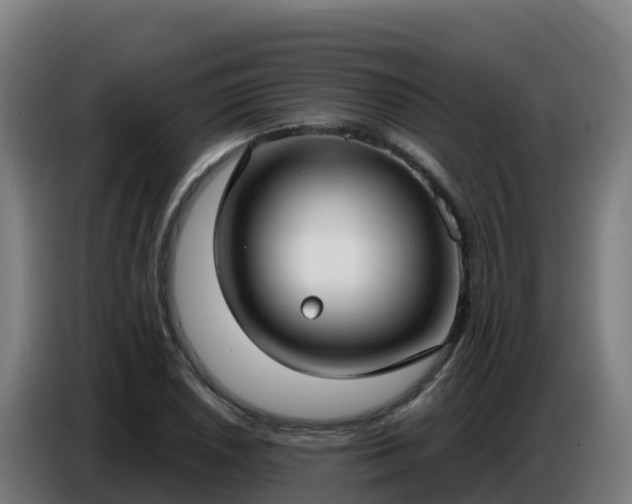 X0000086751026200704201721