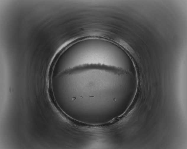 X0000086751028200704201721