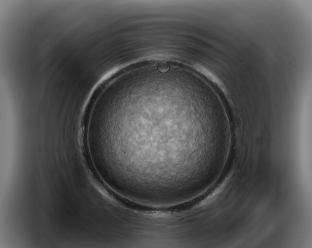 X0000086751029200704201721