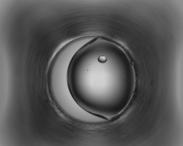 X0000086751030200704201721