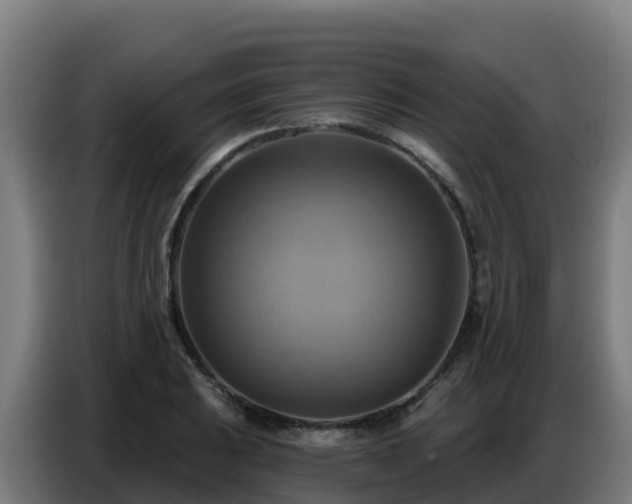 X0000086751031200704201721