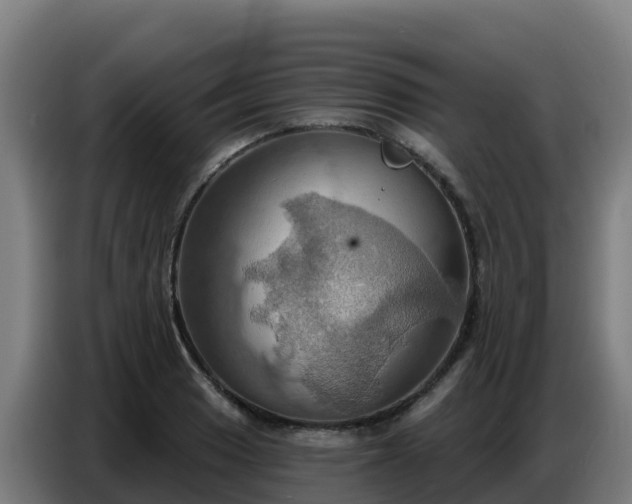 X0000086751033200704201721