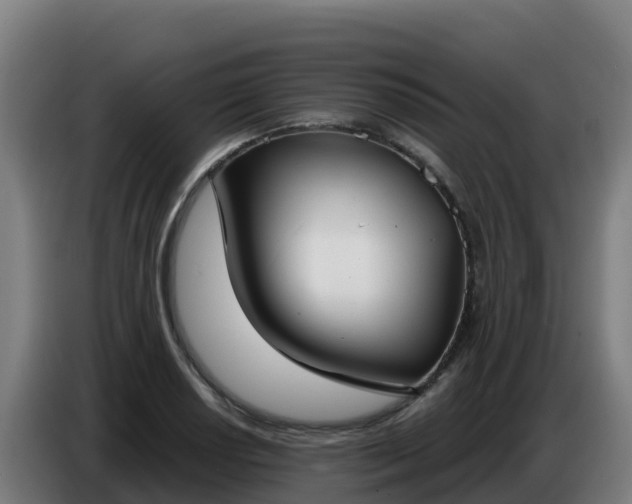 X0000086751034200704201721