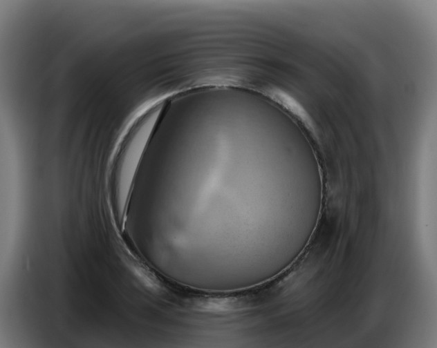 X0000086751035200704201721