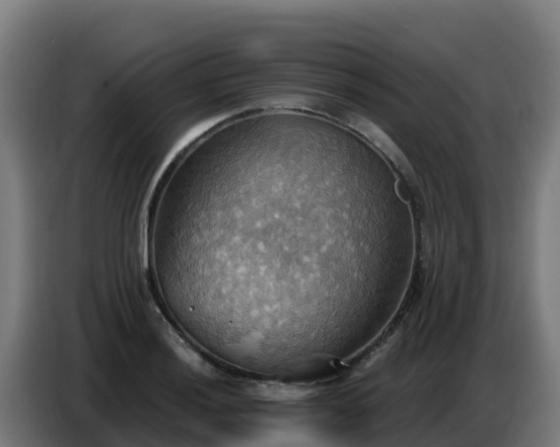 X0000086751036200704201721