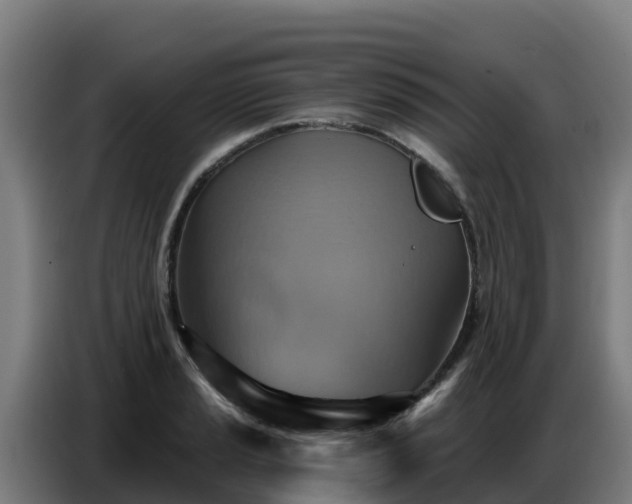 X0000086751037200704201721