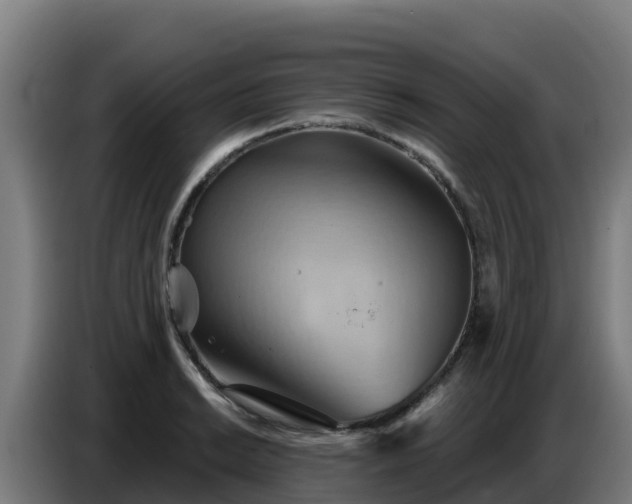 X0000086751038200704201721