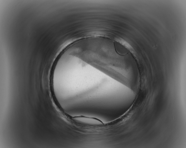 X0000086751039200704201721