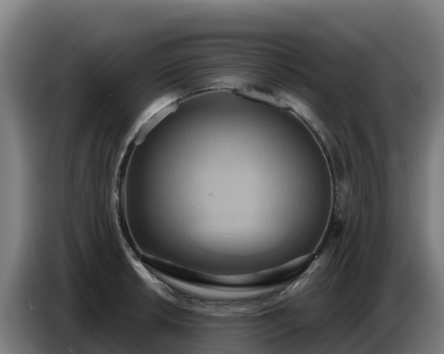 X0000086751042200704201721