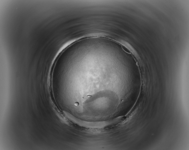 X0000086751044200704201721