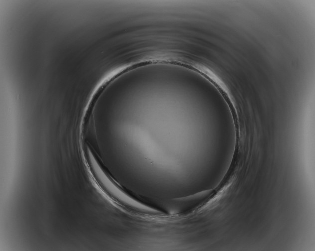 X0000086751045200704201721