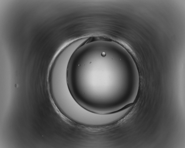 X0000086751046200704201721