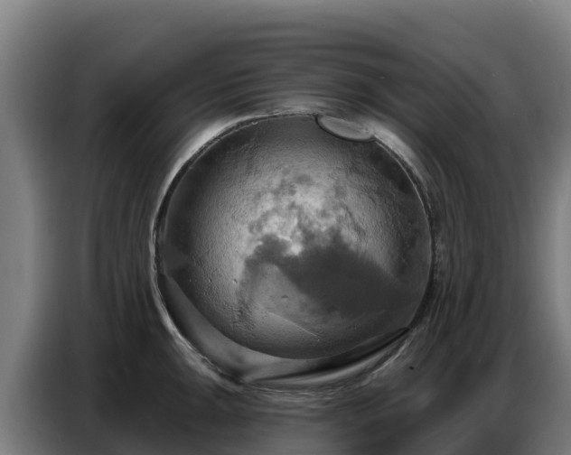 X0000086751047200704201721