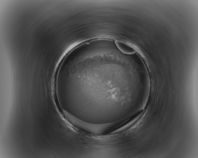 X0000086751048200704201721