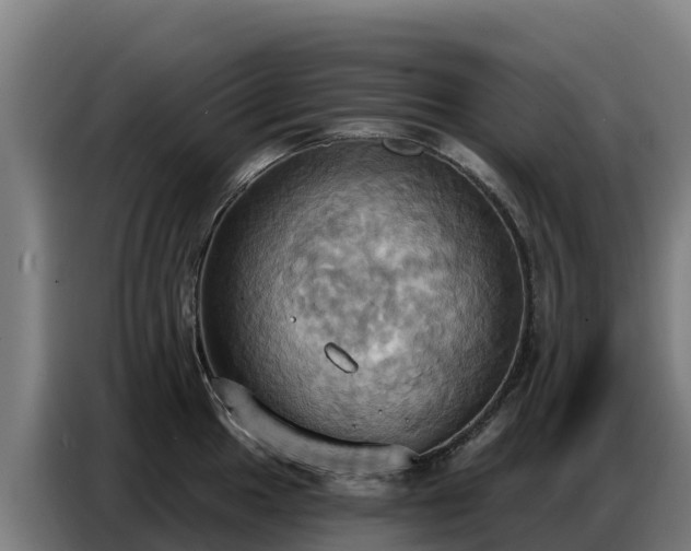 X0000086751049200704201721