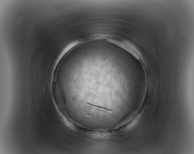 X0000086751050200704201721