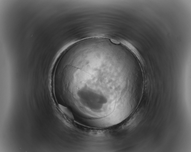 X0000086751051200704201721