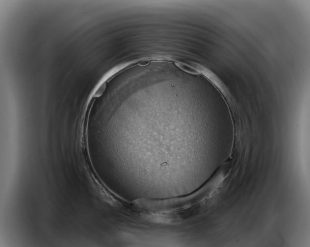 X0000086751052200704201721